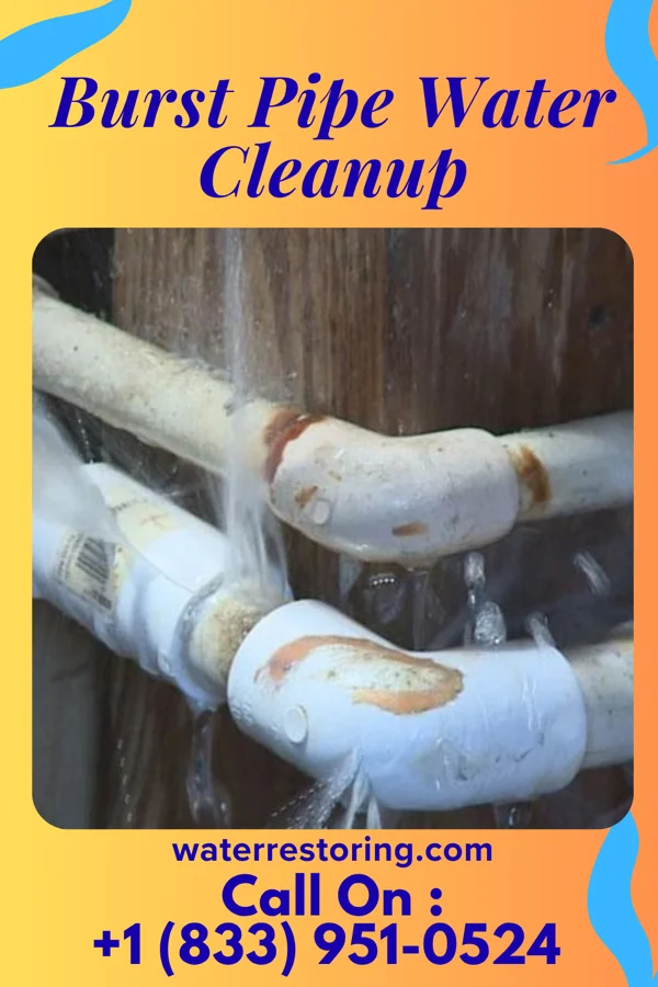 Burst Pipe Water Cleanup in Roseland, IN