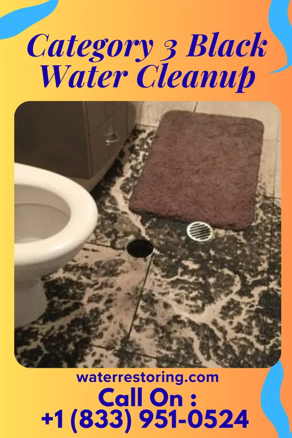 Category 3 Black Water Cleanup in Roseland, IN