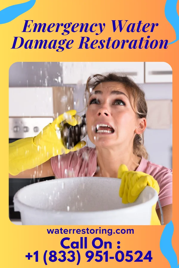 Emergency Water Damage Restoration in Roseland, IN
