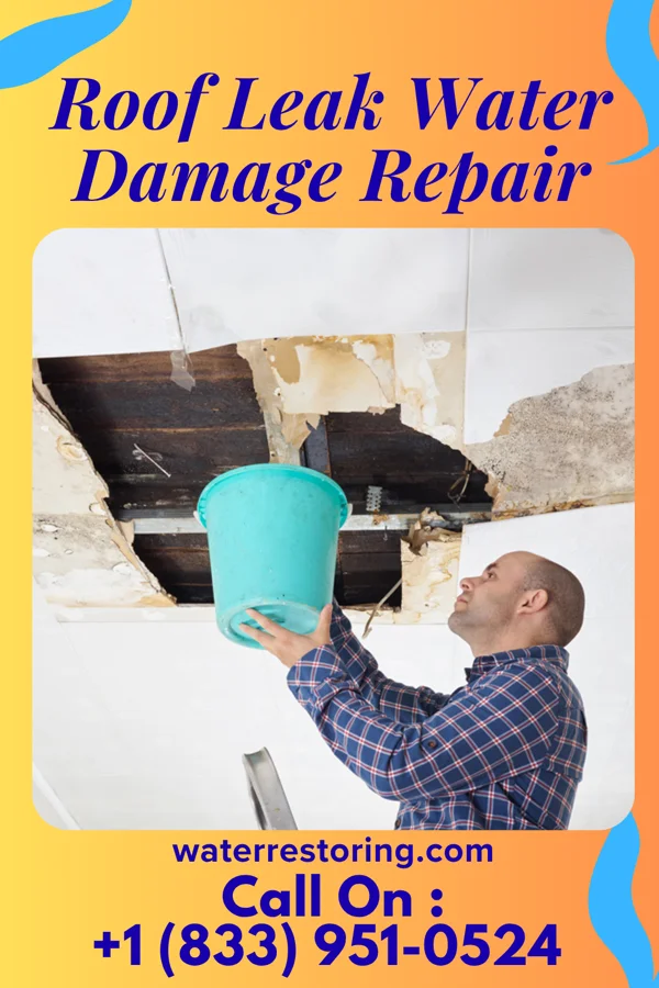 Roof Leak Water Damage Repair in Roseland, IN