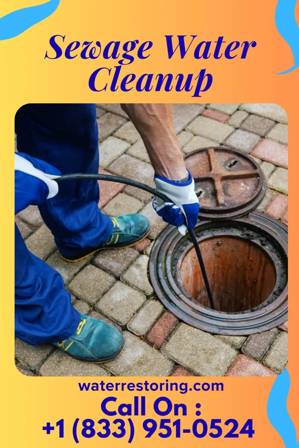 Sewage Water Cleanup in Roseland, IN