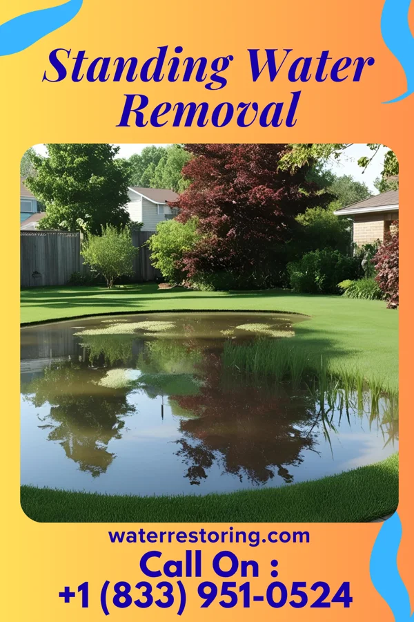 Standing Water Removal in Roseland, IN